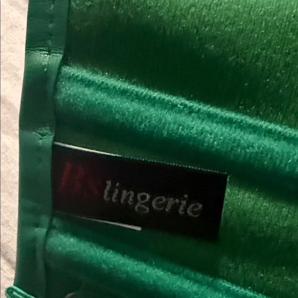 Green Faux Leather Corset Top - Picture 3 of 4